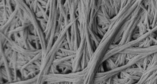 Engenharia de tecidos com Biomateriais e CÃ©lulas Estaminais: da SubstituiÃ§Ã£o Ã  RegeneraÃ§Ã£o