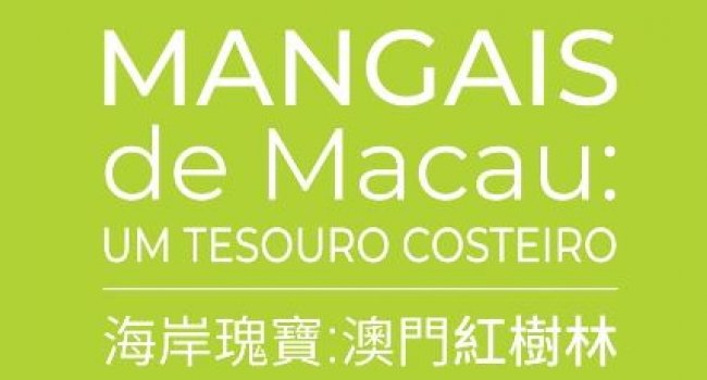 Mangais de Macau: um Tesouro Costeiro