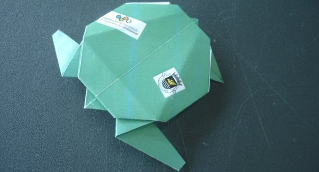 Origami "Vem dar vida ao Papel!" (1Âª EdiÃ§Ã£o)