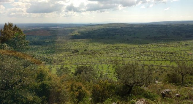XVII Jornadas sobre Conservação da Natureza e Educação Ambiental em Alcanena